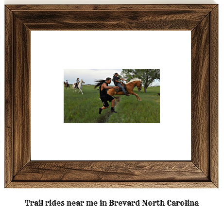 trail rides near me in Brevard, North Carolina